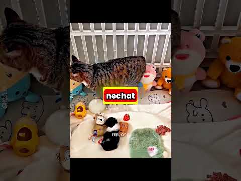 CHUDÁK PEJSEK!💔😱