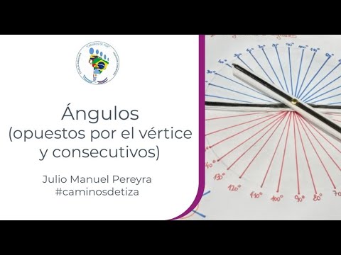 Ángulos (opuestos por el vértice y consecutivos)