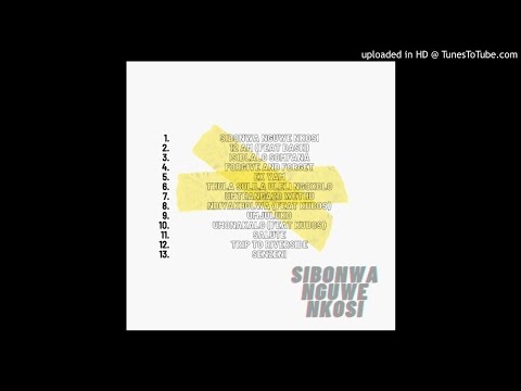 Dj Skhothi noCynic(MR BADANTSISE) - thula sulila uleli ngoxolo