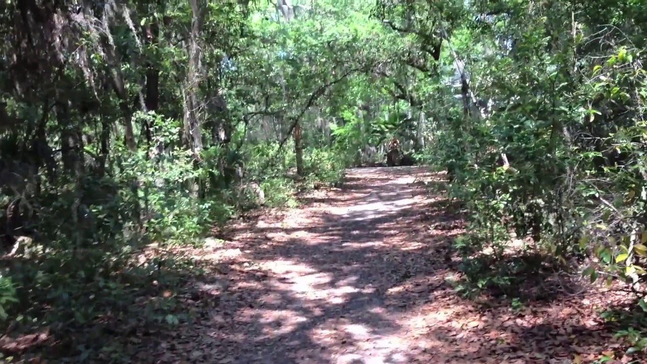 Creative Writing Prompts from Nature