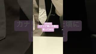 Download lagu WANDS カナリア鳴いた頃に 歌ってみた #WANDS mp3 Download lagu WANDS カナリア鳴いた頃に 歌ってみた #WANDS mp3