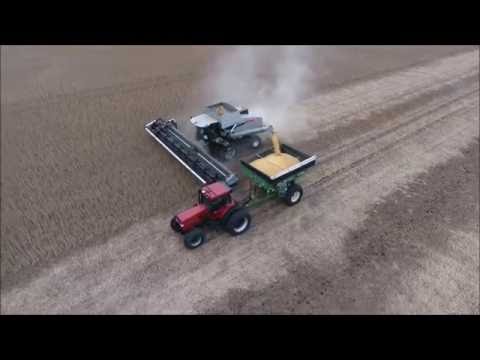 Gleaner R76 North Dakota Soybean Harvest