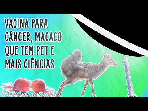 COMO DAR RÉ EM FOGUETE, ENSINAR MACACO A TER PET E CURAR O CÂNCER | ABDUÇÃO