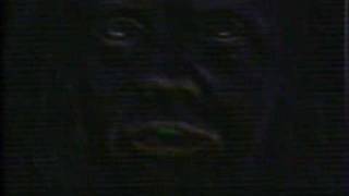 Galactic Cowboys   Fear Not