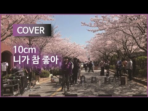 [쩌라동] 벚꽃축제에서.. 10cm(십센치) - 니가 참 좋아(I Really Like You) cover
