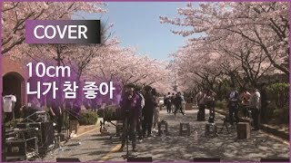 [쩌라동] 벚꽃축제에서.. 10cm(십센치) - 니가 참 좋아(I Really Like You) cover