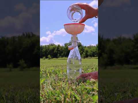 How To Use Mushrooms 🍄