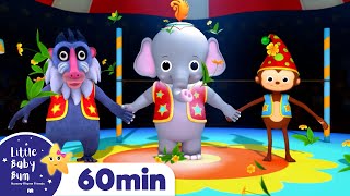 Animal Fair | 2 Hours of Little Baby Bum Nursery Rhymes and Kids Songs