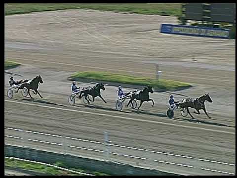 Trotto 27/06/2020 - 1ª prova di qualifica