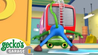 Downward Facing Gecko | Gecko's Garage | Moonbug Kids - Play and Learn