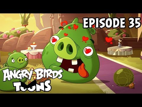 Angry Birds Toons | Love is in the Air - S1 Ep35