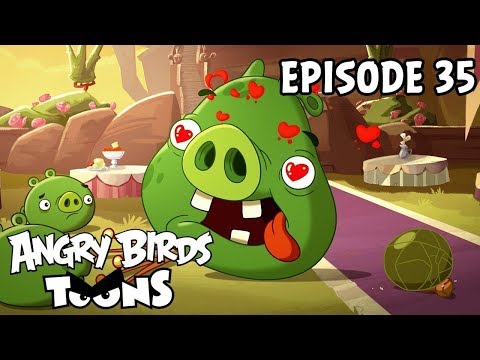 Angry Birds Toons | Love is in the Air - S1 Ep35 Video