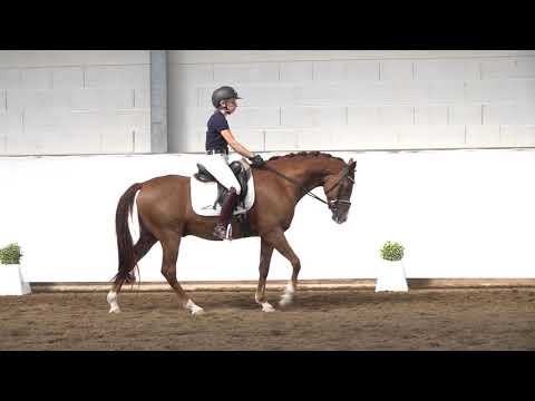 4j. Wallach v. Cosmopolitan NRW