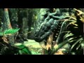 Tyrannosaurus Rex Swallows Giant Prehistoric Fish Whole HD 1080p