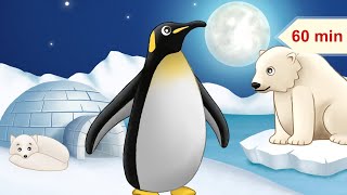 Arctic Animals and Relaxing Music gameplay video by HDOTDEPT, 60:01 duration