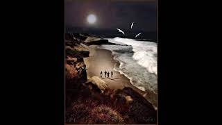 "Coral Gardens" DEUTER