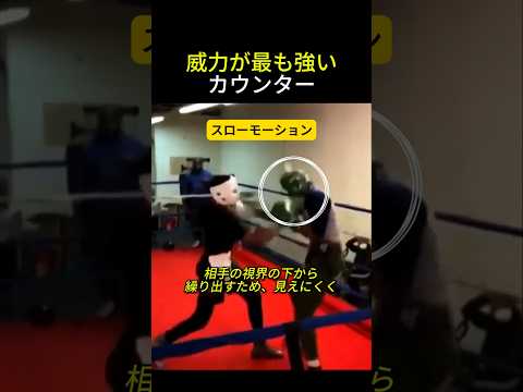 威力最強のカウンター #ボクシング