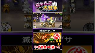 滅殺ハヤブサを編成に入れていざ黄金にゃんこ塔46階へ #にゃんこ大戦争