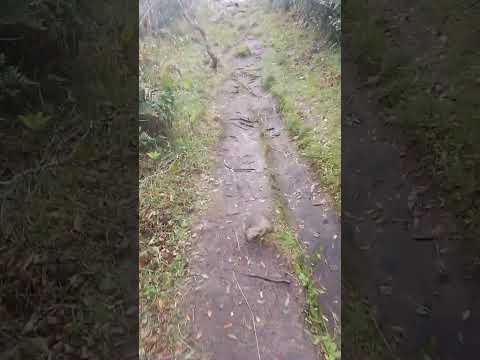 Grutas de Salamanca Departamento de Maldonado Uruguay 🇺🇾