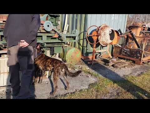 Wir waren wieder zu Gast beim MKO in Norden