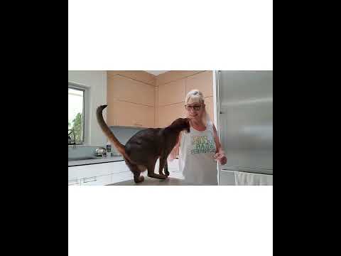 Crystal the Pet Nanny. LLC video.