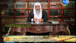 قصص القرآن 15 فوائد من قصة نبي الله موسي عليه السلام مع الخضر