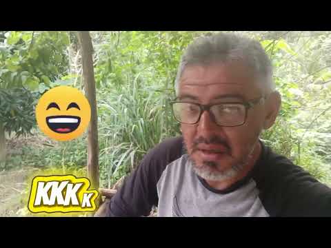 #praia dos carneiros AL