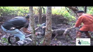 preview picture of video 'SPEAR HUNTING WILD BOAR HOGS! With Renaissance Men in MS with South Coast Safaris'