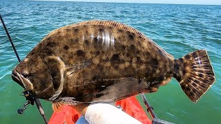 North Carolina Flounder 2025 & Beyond | More Of The Same? Closures Again? Recovery?