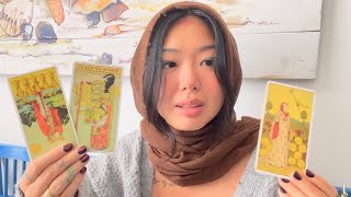 Thông điệp cuối năm - Chi de Papillon