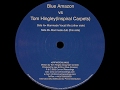 Blue Amazon vs Tom Hingley ‎– Manmade (Dub)