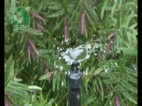 Antelco Vortex Spectrum Spray - By City Irrigation Ltd