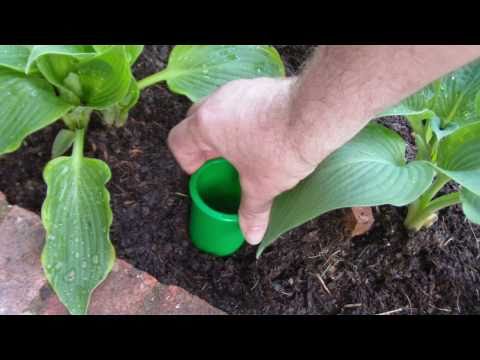 Probably the best Slug Trap in the world