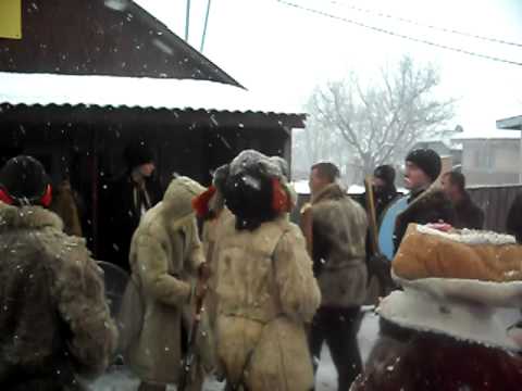 ursul de la CONTESTI judetzul Iasi