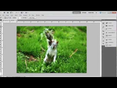 How to View Photoshop Full Screen