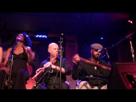 Ravid Kahalani, the Yemen Blues King. Highlight video