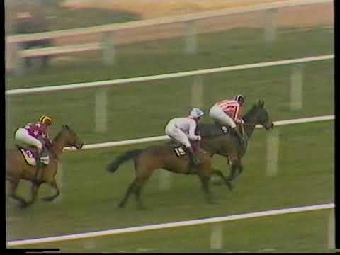 1984 Sun Alliance Chase  A Kinsman Includes Replay