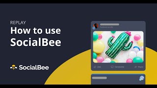 Learn How to Use SocialBee | Demo Webinar with Q&A (October 2024)