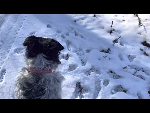 MW Team: New Area in Butler County PA