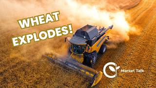 Wheat Explodes Higher as Black Sea Tensions Escalate