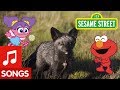 Sesame Street Dance Like A Fox Animal Dance 1