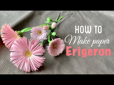 Paper Erigeron Annuus : Wild Flower   Paper Flowers
