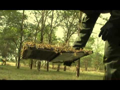 Imagen de previsualización de YouTube