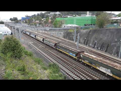 G539 / BL30 / DL44 with PN loaded grain 3524 - 6/10/19