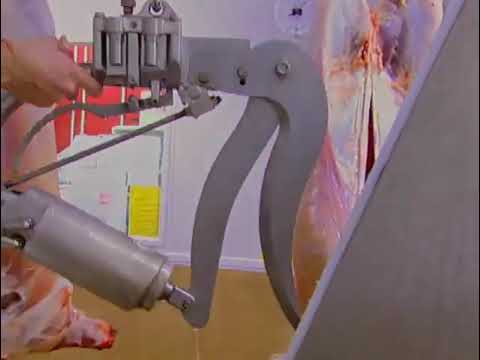 423-17 brisket scissors