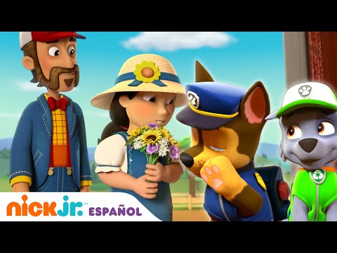PAW Patrol, Patrulla de cachorros | ¡Los cachorros salvan la boda! | Nick Jr. en Español