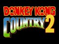 GBA 93 Donkey Kong Country 2 Diddy S Kong Quest Swanky Swing