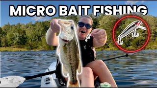 BIG Fish on TINY Baits (Micro Bait Fishing)