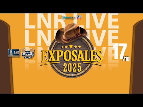 ExpoSales - 17/10