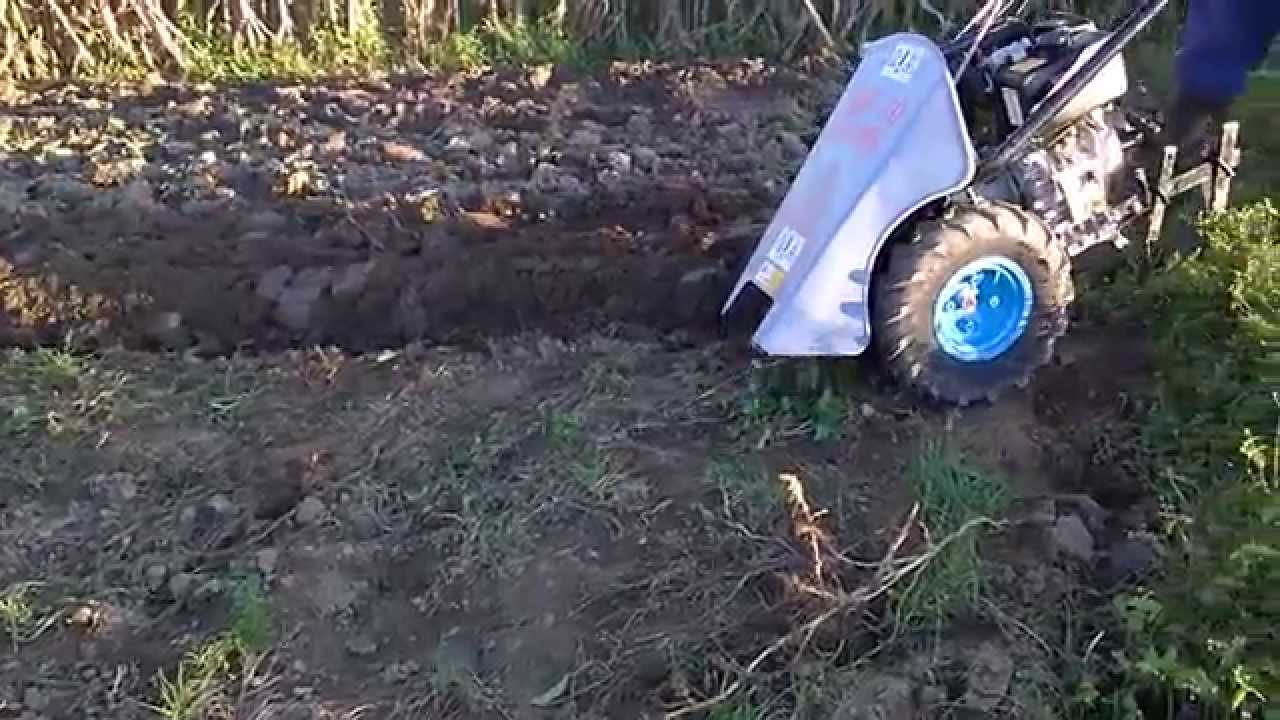 MF 70 DIESEL SZÁNTÓ EKÉVEL MF-70 MF70